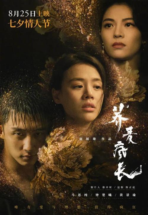 六级证办理多少钱